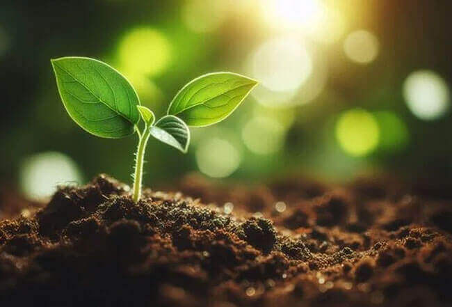 Ascent Petrochem Holdings Co., Limited