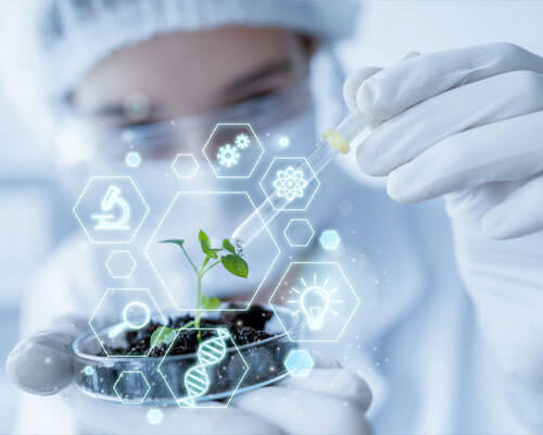 Organic Chemicals